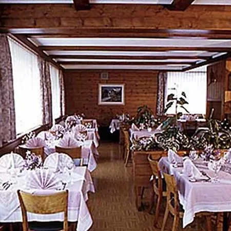 Hotel Alpha 3*